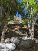 Enlarge photo 16