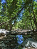Enlarge photo 18