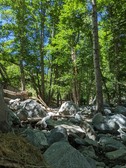 Enlarge photo 19