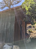 Enlarge photo 31