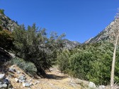 Enlarge photo 47