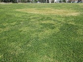 Enlarge photo 35