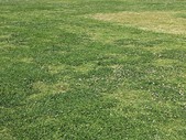 Enlarge photo 36