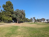 Enlarge photo 29