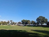 Enlarge photo 41