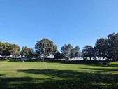 Enlarge photo 42