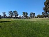 Enlarge photo 33