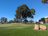 Enlarge photo 35