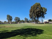 Enlarge photo 38
