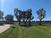 Enlarge photo 40