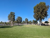 Enlarge photo 41