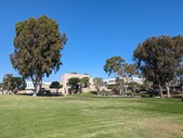 Enlarge photo 42
