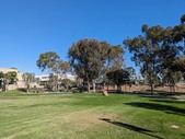 Enlarge photo 43