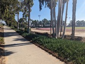 Enlarge photo 58
