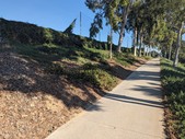 Enlarge photo 59
