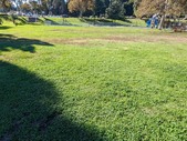 Enlarge photo 30