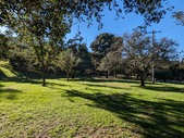 Enlarge photo 59