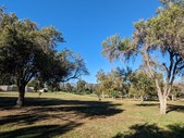 Enlarge photo 78