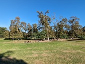 Enlarge photo 82