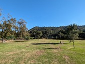 Enlarge photo 83
