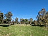 Enlarge photo 84