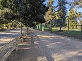 Enlarge photo 95