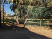 Enlarge photo 98
