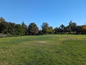 Enlarge photo 108