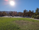 Enlarge photo 111