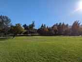 Enlarge photo 113