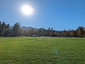 Enlarge photo 115