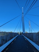 Enlarge photo 146
