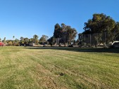 Enlarge photo 156