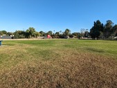 Enlarge photo 163