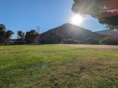 Enlarge photo 169