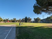 Enlarge photo 171