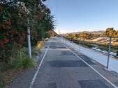 Enlarge photo 174