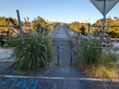 Enlarge photo 175