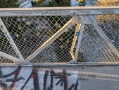Enlarge photo 185
