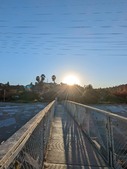 Enlarge photo 188