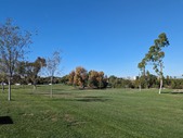 Enlarge photo 65