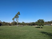 Enlarge photo 66