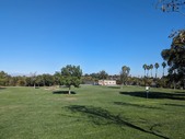 Enlarge photo 67