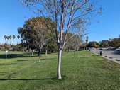 Enlarge photo 68