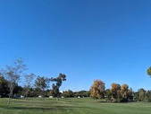 Enlarge photo 71