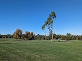 Enlarge photo 72