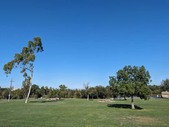 Enlarge photo 73