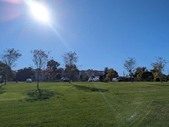 Enlarge photo 74