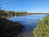 Enlarge photo 76