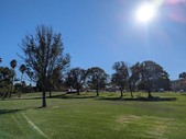 Enlarge photo 78